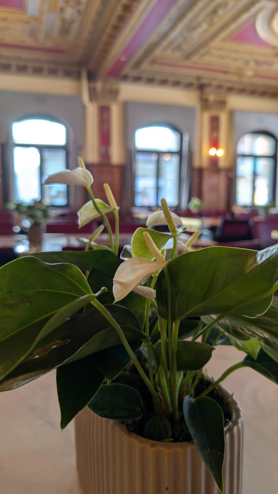 Hotel Harder Minerva Interlaken Kültér fotó