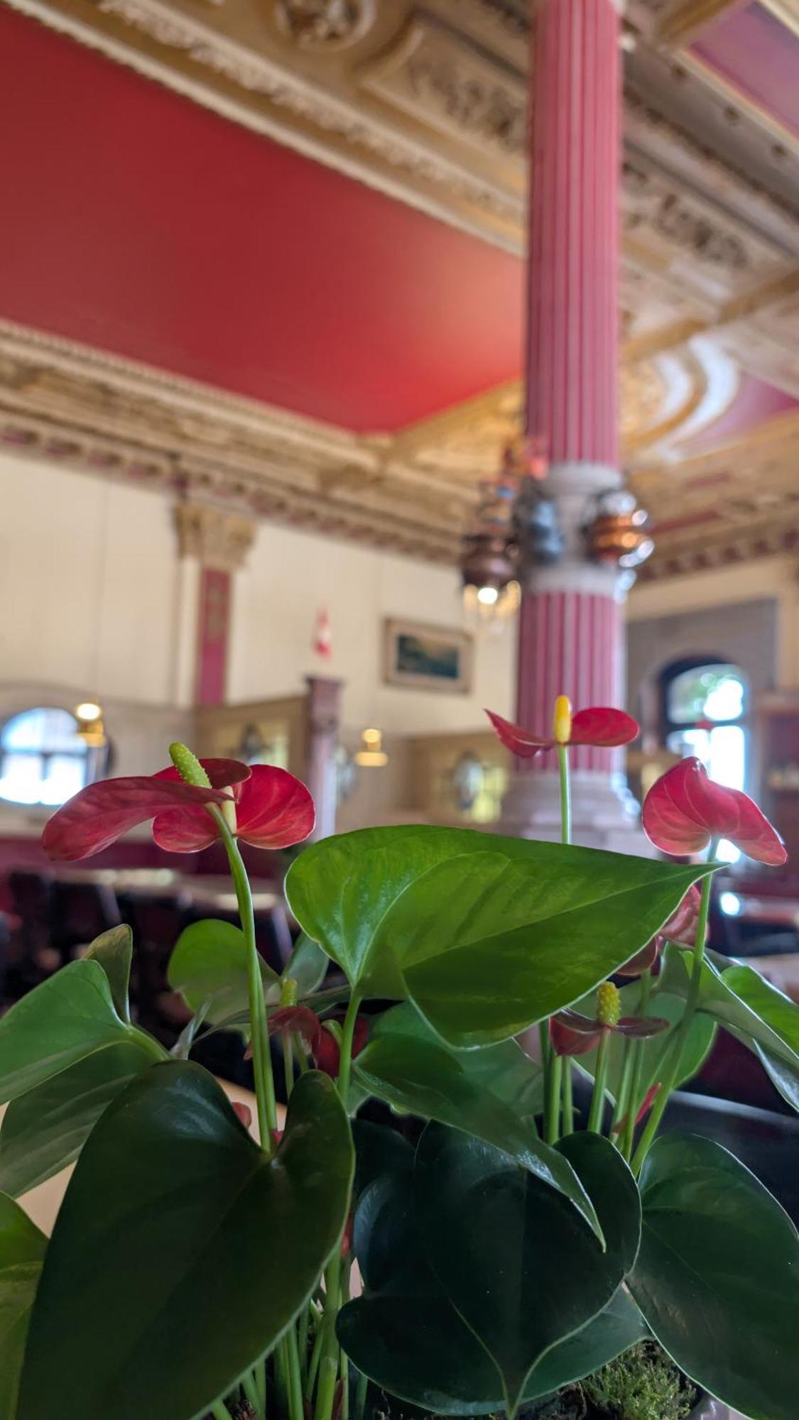 Hotel Harder Minerva Interlaken Kültér fotó